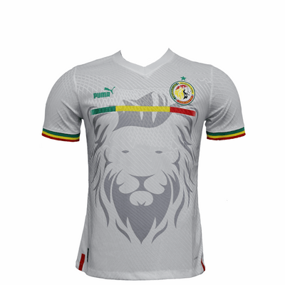 MAILLOT SENEGAL CONCEPT EDITION 2023/2024